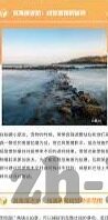 世界杯欧洲队突尼斯-世界杯欧洲队突尼斯,足球激情与战术智慧的碰撞